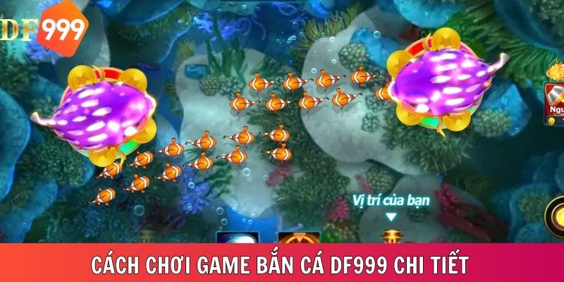 Cách chơi game bắn cá chi tiết tại nhà cái DF999